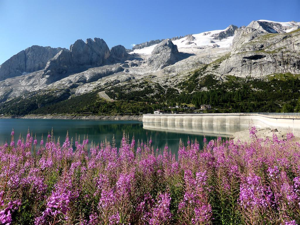 Hotel Rifugio Fedaia Malga Ciapela Exterior foto